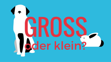 Groß- oder Kleinschreibung